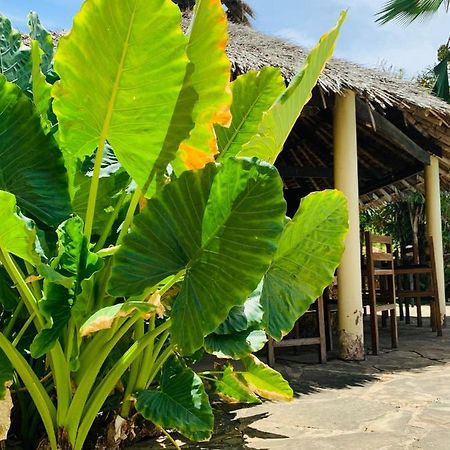 Ltorec Nyali Beach Екстериор снимка